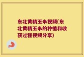 东北黄精玉米视频(东北黄精玉米的种植和收获过程视频分享)