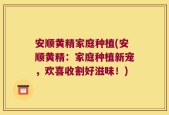 安顺黄精家庭种植(安顺黄精：家庭种植新宠，欢喜收割好滋味！)
