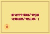 都匀野生黄精产地(都匀黄精原产地在哪？)