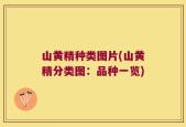山黄精种类图片(山黄精分类图：品种一览)
