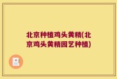 北京种植鸡头黄精(北京鸡头黄精园艺种植)