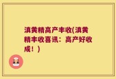 滇黄精高产丰收(滇黄精丰收喜讯：高产好收成！)