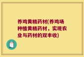 养鸡黄精药材(养鸡场种植黄精药材，实现农业与药材的双丰收)