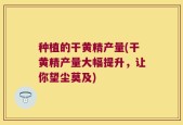 种植的干黄精产量(干黄精产量大幅提升，让你望尘莫及)