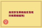 南京野生黄精南京发现珍稀黄精植物)