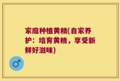 家庭种植黄精(自家养护：培育黄精，享受新鲜好滋味)