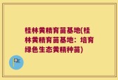 桂林黄精育苗基地(桂林黄精育苗基地：培育绿色生态黄精种苗)