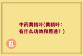 中药黄精叶(黄精叶：有什么功效和用途？)