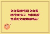 文山黄精种苗(文山黄精种植技巧：如何培育优质的文山黄精种苗？)