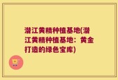 潜江黄精种植基地(潜江黄精种植基地：黄金打造的绿色宝库)