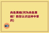 肉色黄精(何为肉色黄精？教你认识这种中草药)