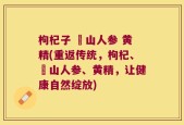 枸杞子 矷山人参 黄精(重返传统，枸杞、矷山人参、黄精，让健康自然绽放)