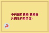中药图片黄精(黄精图片揭示药用价值)