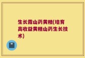 生长露山药黄精(培育高收益黄精山药生长技术)
