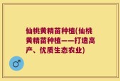 仙桃黄精苗种植(仙桃黄精苗种植——打造高产、优质生态农业)