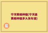 宁河黄精种植(宁河县黄精种植步入快车道)