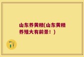 山东养黄精(山东黄精养殖大有前景！)