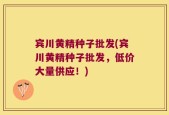 宾川黄精种子批发(宾川黄精种子批发，低价大量供应！)