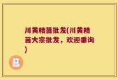 川黄精苗批发(川黄精苗大宗批发，欢迎垂询)