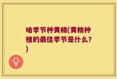 啥季节种黄精(黄精种植的最佳季节是什么？)