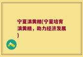 宁夏滇黄精(宁夏培育滇黄精，助力经济发展)