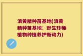 滇黄精种苗基地(滇黄精种苗基地：野生珍稀植物种植养护新动力)