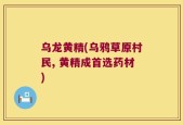 乌龙黄精(乌鸦草原村民, 黄精成首选药材)