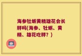 海参牡蛎黄精雄花会长胖吗(海参、牡蛎、黄精、雄花吃胖？)
