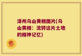 漳州乌山黄精图片(乌山黄精：流转这片土地的精神记忆)
