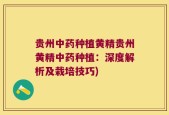 贵州中药种植黄精贵州黄精中药种植：深度解析及栽培技巧)