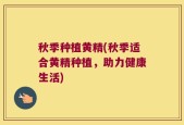 秋季种植黄精(秋季适合黄精种植，助力健康生活)