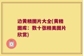 边黄精图片大全(黄精图库：数十张精美图片欣赏)