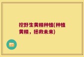 挖野生黄精种植(种植黄精，拯救未来)
