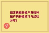 搜索黄精种植户黄精种植户的种植技巧与经验分享)