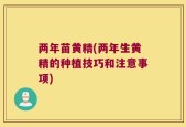 两年苗黄精(两年生黄精的种植技巧和注意事项)