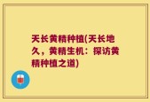 天长黄精种植(天长地久，黄精生机：探访黄精种植之道)