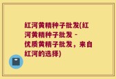 红河黄精种子批发(红河黄精种子批发 - 优质黄精子批发，来自红河的选择)