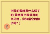 中医的黄精是什么样子的(黄精是中医常用的中药材，你知道它的样子吗？)