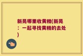 新晃哪里收黄精(新晃：一起寻找黄精的去处)