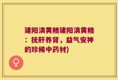 建阳滇黄精建阳滇黄精：抚肝养肾，益气安神的珍稀中药材)