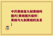 中药黄精是九制黄精吗图片(黄精图片解析：黄精与九制黄精的关系)