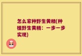 怎么家种野生黄精(种植野生黄精：一步一步实现)