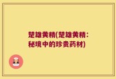 楚雄黄精(楚雄黄精：秘境中的珍贵药材)