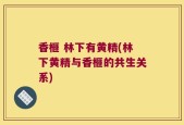 香榧 林下有黄精(林下黄精与香榧的共生关系)