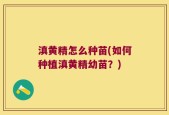 滇黄精怎么种苗(如何种植滇黄精幼苗？)