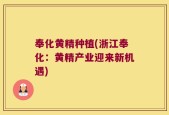 奉化黄精种植(浙江奉化：黄精产业迎来新机遇)