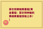 菲尔特黄精黑番茄(黄金番茄：菲尔特种植的黄精黑番茄惊艳上市！)