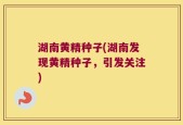 湖南黄精种子(湖南发现黄精种子，引发关注)