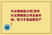 兴义黄精苗公司(贵州兴义黄精苗公司全面升级，致力于高品质生产)