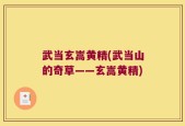武当玄嵩黄精(武当山的奇草——玄嵩黄精)